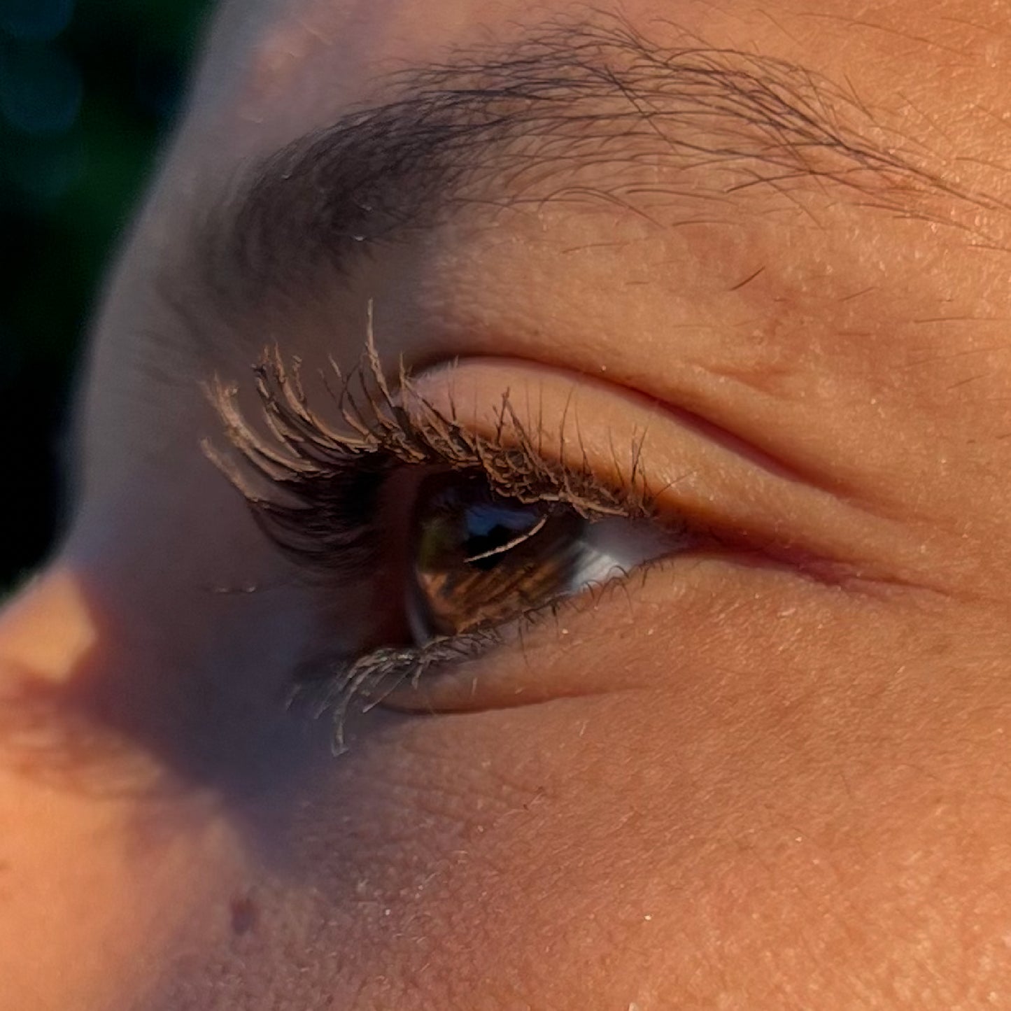 MASCARA BROSSE DEFINITION + RECHARGE - MARRON