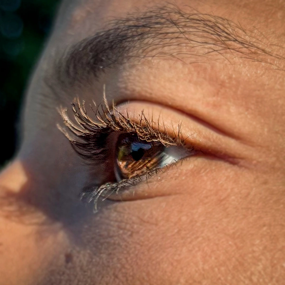 MASCARA BROSSE DEFINITION - MARRON