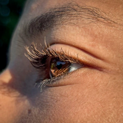 MASCARA BROSSE DEFINITION - MARRON