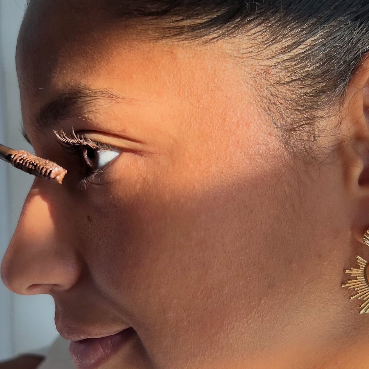 MASCARA BROSSE DEFINITION - MARRON